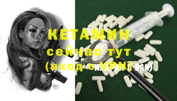 гидра Вяземский