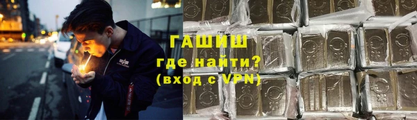гидра Вяземский
