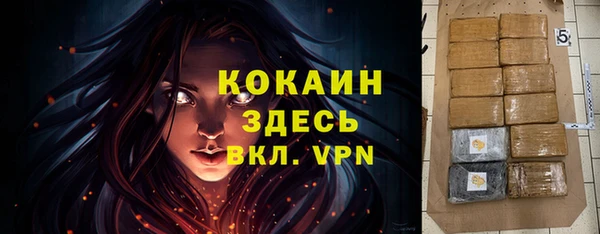 гидра Вяземский