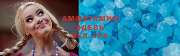 гидра Вяземский