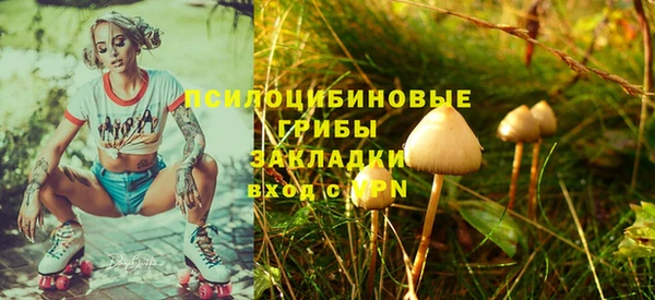 гидра Вяземский