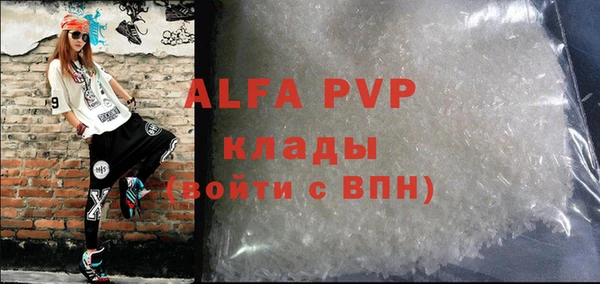 гидра Вяземский