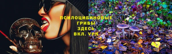 тгк Новый Уренгой