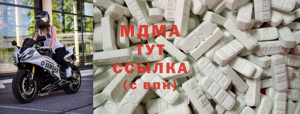 гидра Вяземский