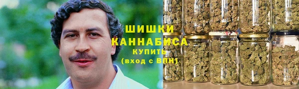 гидра Вяземский