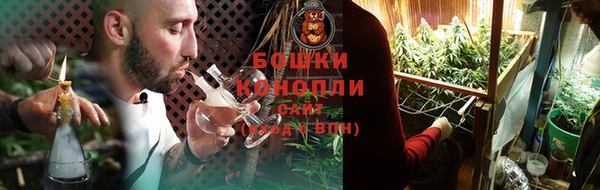 гидра Вяземский